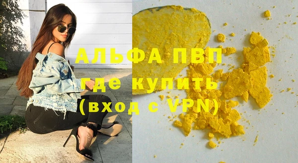 ГАЛЛЮЦИНОГЕННЫЕ ГРИБЫ Семёнов