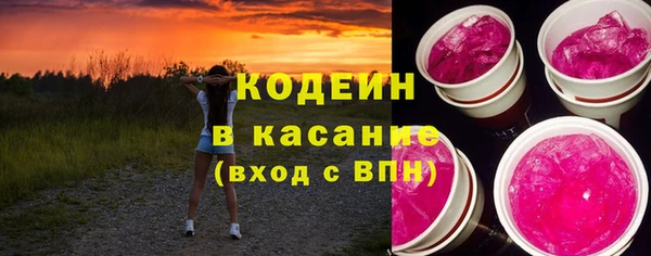 ГАЛЛЮЦИНОГЕННЫЕ ГРИБЫ Семёнов