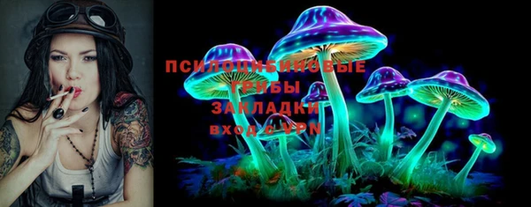 стафф Семилуки