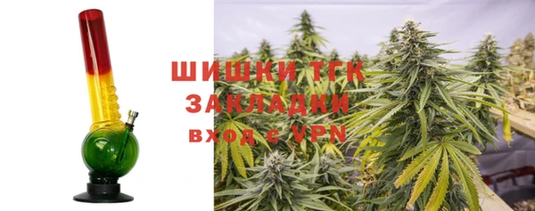стафф Семилуки