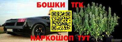 apvp Кунгур