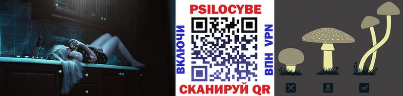 Галлюциногенные грибы Psilocybine cubensis  Кизляр 