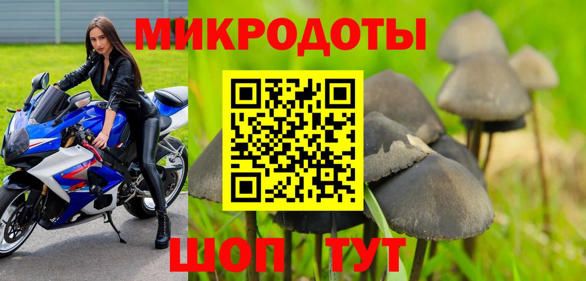 Кизляр  Галлюциногенные грибы MAGIC MUSHROOMS  Вход с VPN 