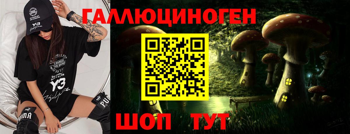 Галлюциногенные грибы MAGIC MUSHROOMS Кизляр
