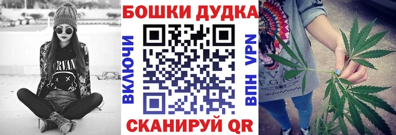 купить   Кизляр  Каннабис ГИДРОПОН 