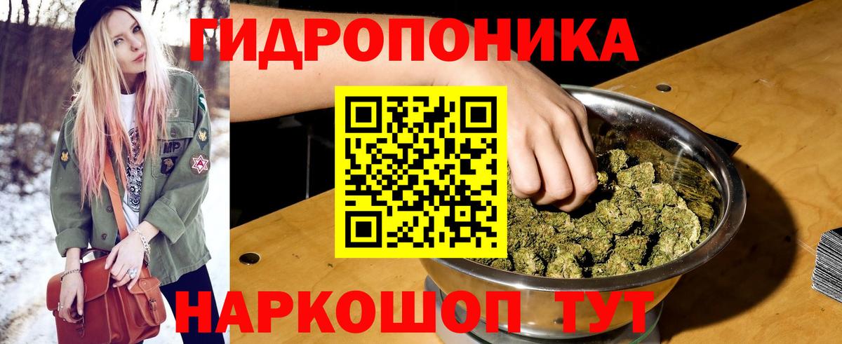 Шишки марихуана планчик Кизляр